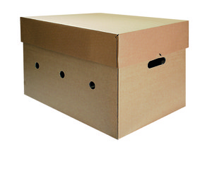 Transportkt.Boden 58x37,5x40cm Deckel auf anfrage (650179) - 600696