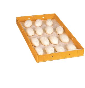 Schaumfolie 55x36cm - 884937