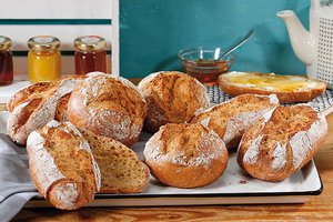 Ireks Dinkel-Honig-Krustis - 211920