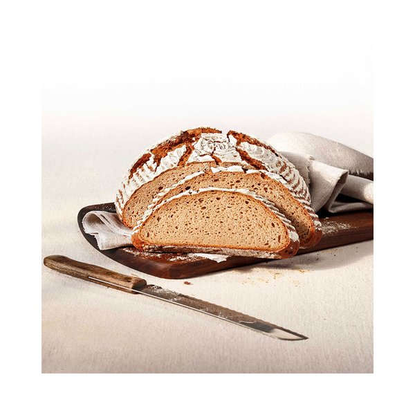 Ulmer MADRE RoggenSauer 120 vegan