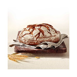 Ulmer MADRE Bio VK-Sauerteig - 210525