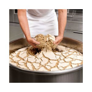Ulmer MADRE Anfrischsauer vegan - 210565