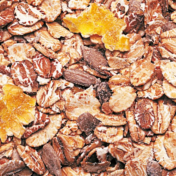 Kompl Bäcker's Back Müsli
