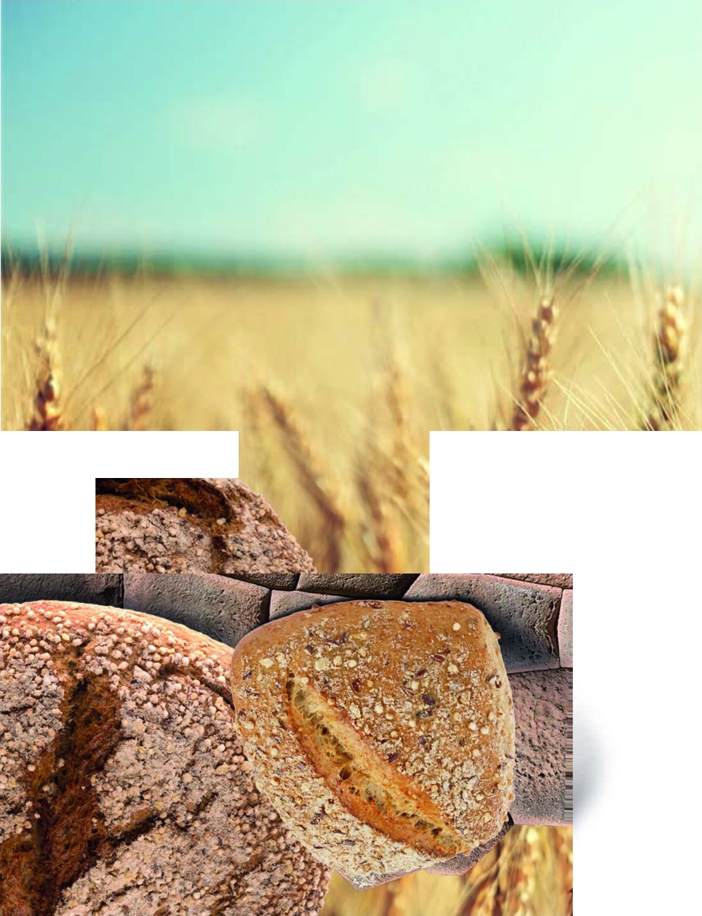 Uldo Emmer/Quinoa Brot - 214348